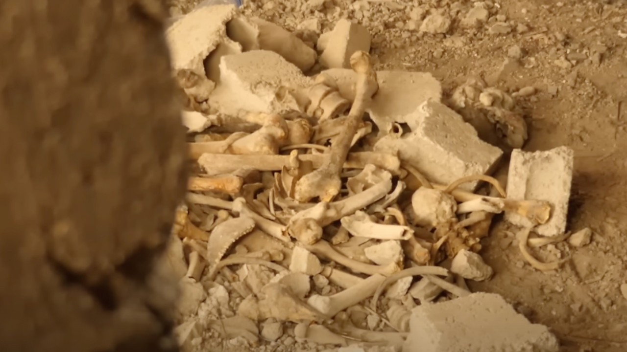 Esed rejiminin katliam yaptığı toplu mezarları taşıdığı ortaya çıktı! On binlerce kişinin cesedi bulundu!