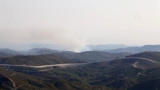 Esed, Türkmendağı’nda ormanları yakıyor
