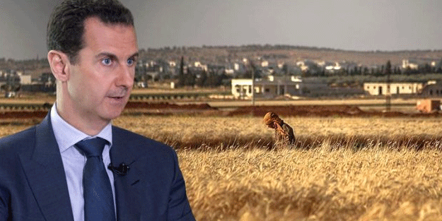 Esed'den yeni vahşet! Mayın tarlasına sürdüğü 100 kişiden...