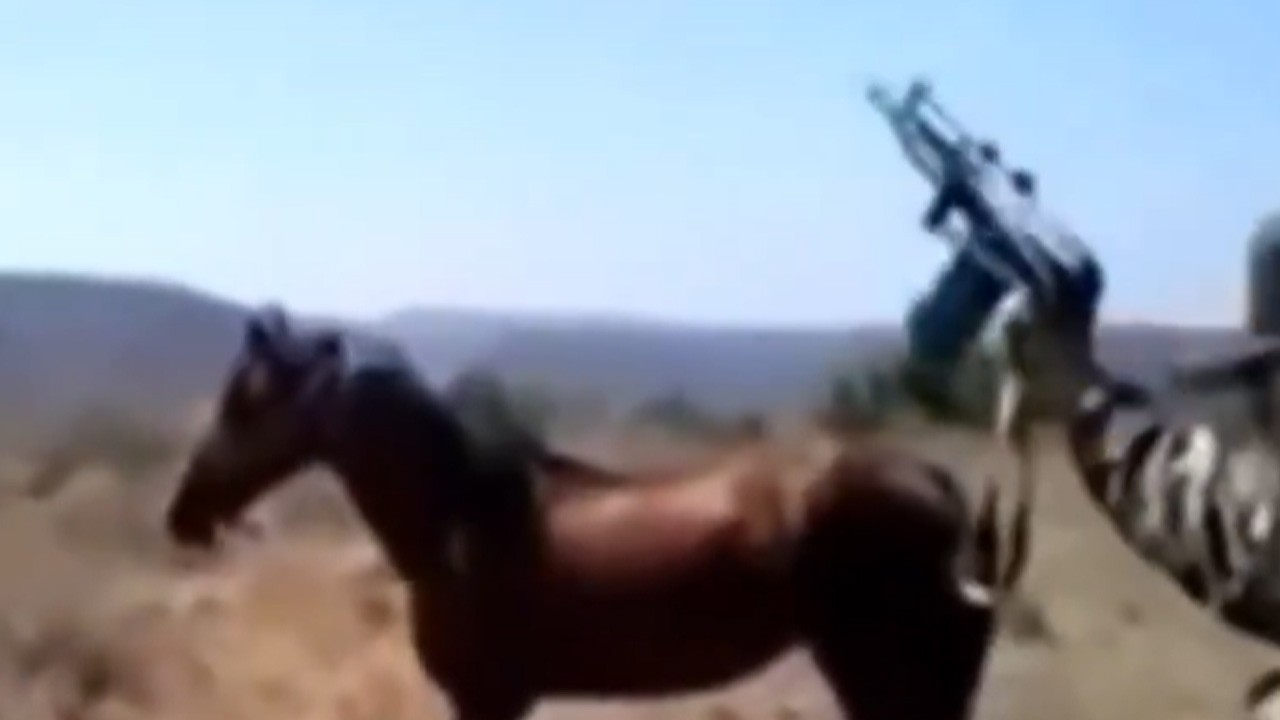 Esed’in şebbihaları atlara da acımamış! Görülmemiş vahşet