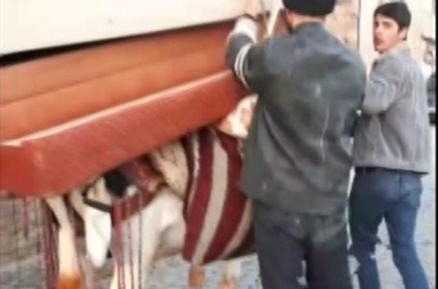 Eşeğe yüzlerce kiloluk ev eşyaları taşıttı