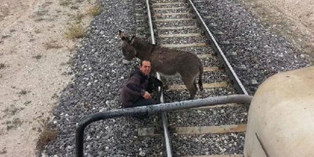 Eşeği raylara bağladılar