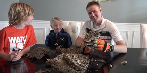 Eşek arısı kovanının içinden ne çıktı? - FOTO