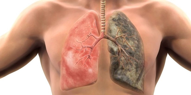 Haftada üç kez tüketin! Ciğerleri baştan sona yeniliyor...