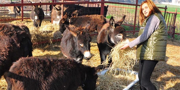Eşek karaborsaya düştü - FOTO