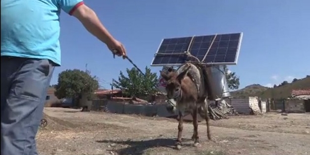 Eşek sırtında güneş enerjisi