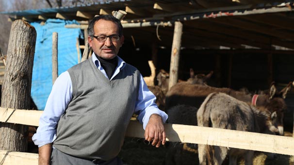 Eşek sütünü litresini 100 liradan satıyor