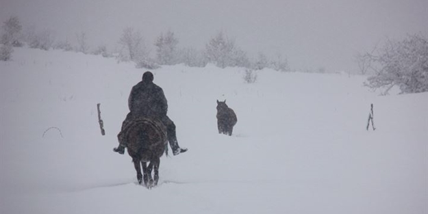 Eşekle ulaşıma geri dönüldü