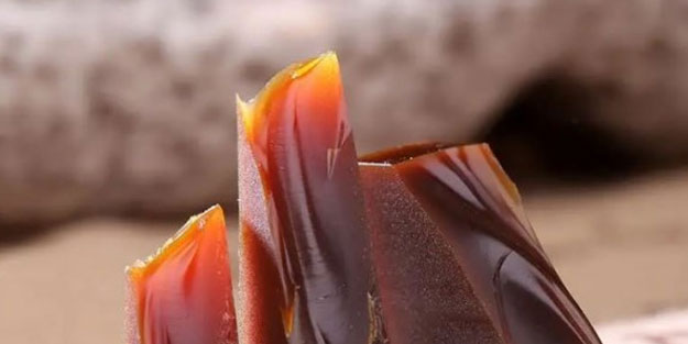 Eşeklere de huzur yok! Tek bir ilaç için bir yılda milyonlarcası katledildi