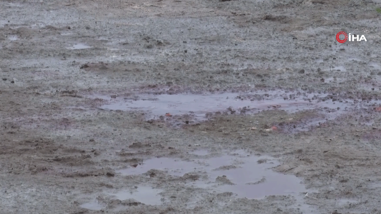 Esenyurt'ta gizemli cinayet! Vatandaşlar korkunç manzarayla karılaştı