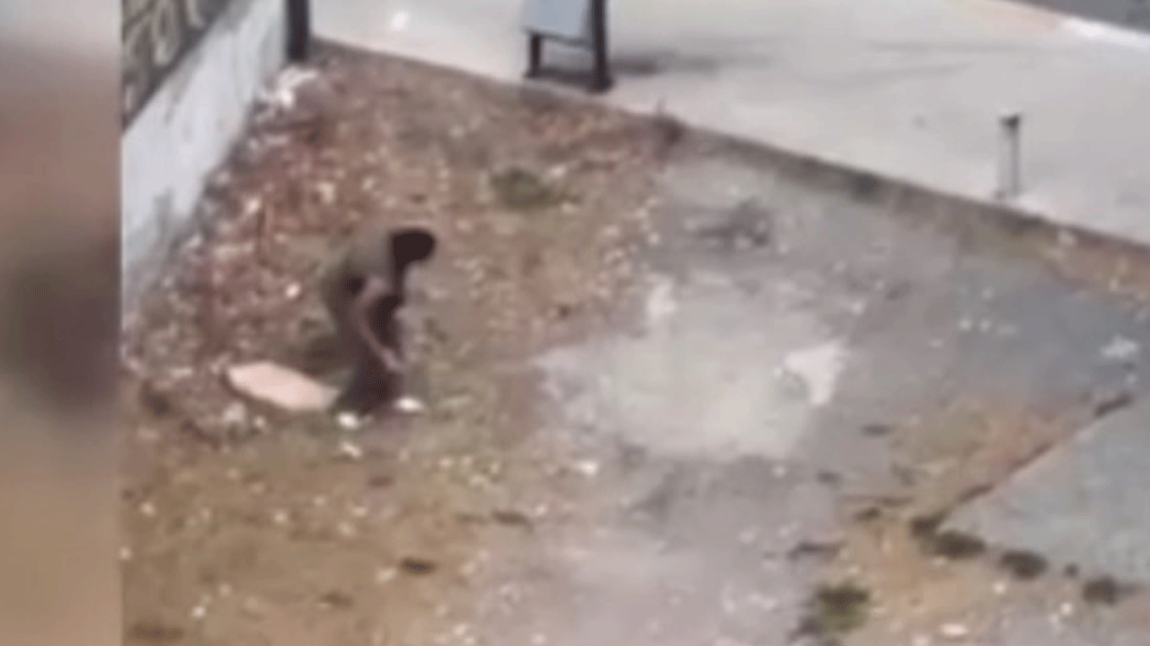 Esenyurt'ta bir kadın yoldan geçenlere taşla saldırdı!