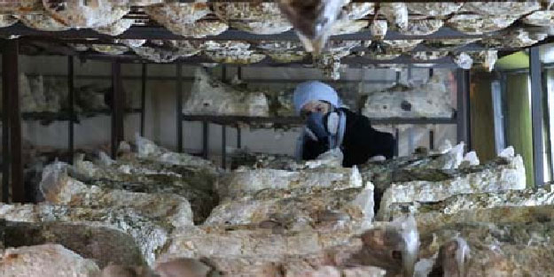 'Eşimin eline bakmak istemiyorum' diyerek patron oldu