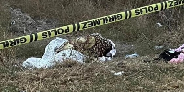 Eşine fare zehri verdi! Yaşadığını görünce...