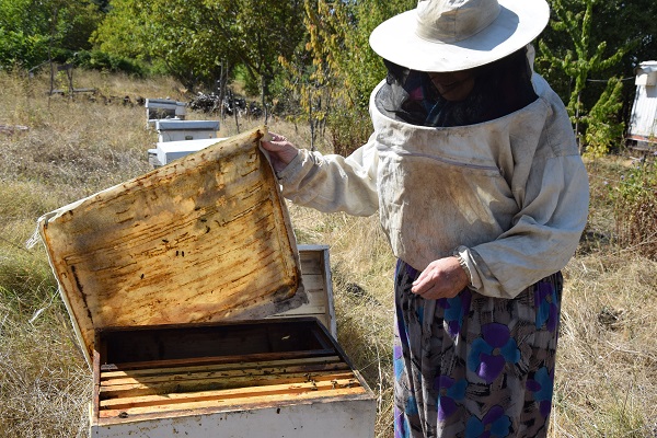 Eşinin mirasına sahip çıktı, genç girişimcilere örnek oldu