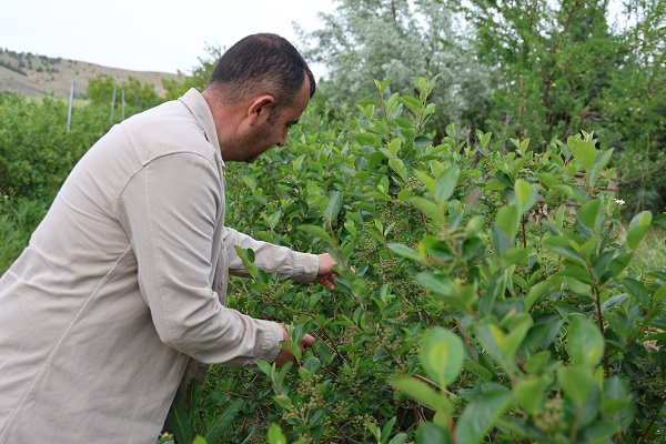 Eşinin sağlığı için ekti! Kendi işinin sahibi oldu
