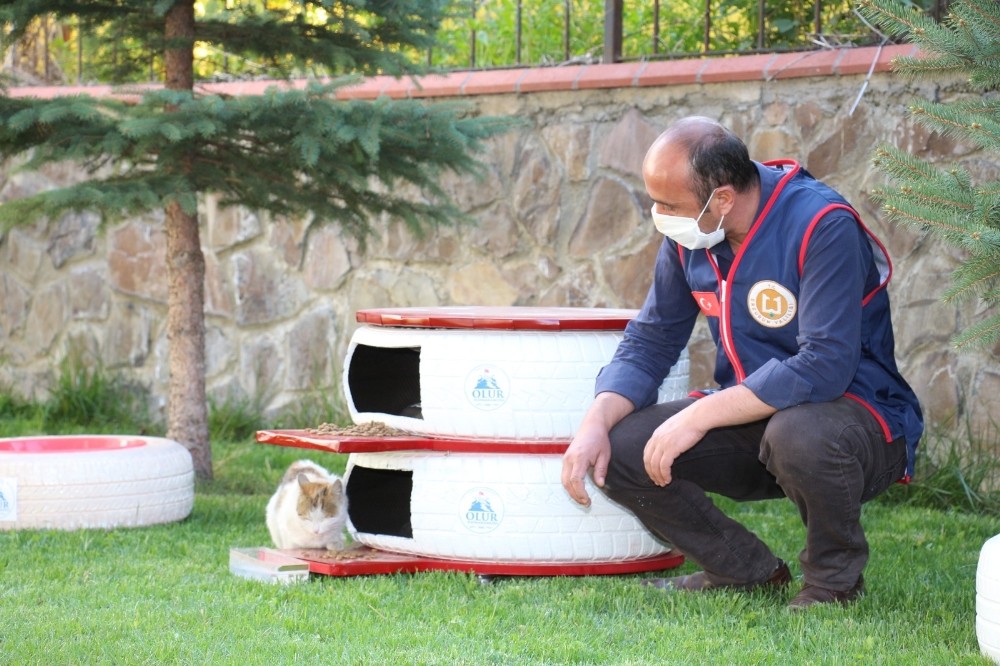 Eski araba lastiklerini mama kabı yaptılar 