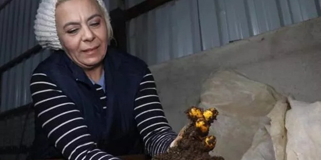 Eski hükümlü 18 bin lira hibe alarak kurdu! Şimdi senelik 200 bin TL kazanıyor