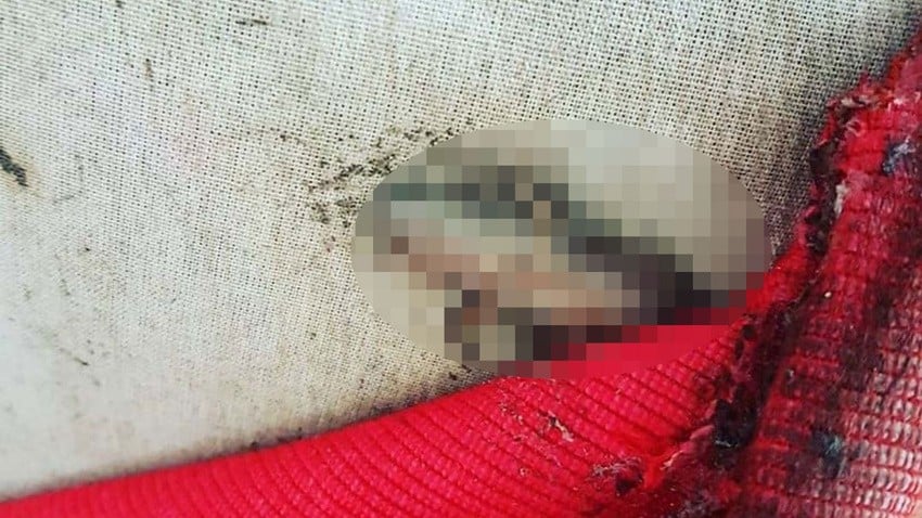 Eski mobilyaların içinden çıkan şeyler hayrete düşürdü