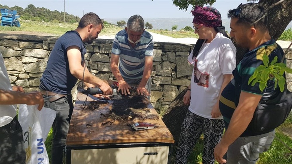 Eski sağlık ocağı obruk peyniri üretim tesisine dönüştürüldü 