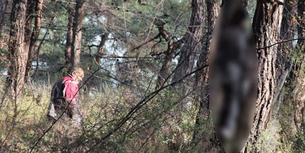 Ülkücüleri üzen görüntü!