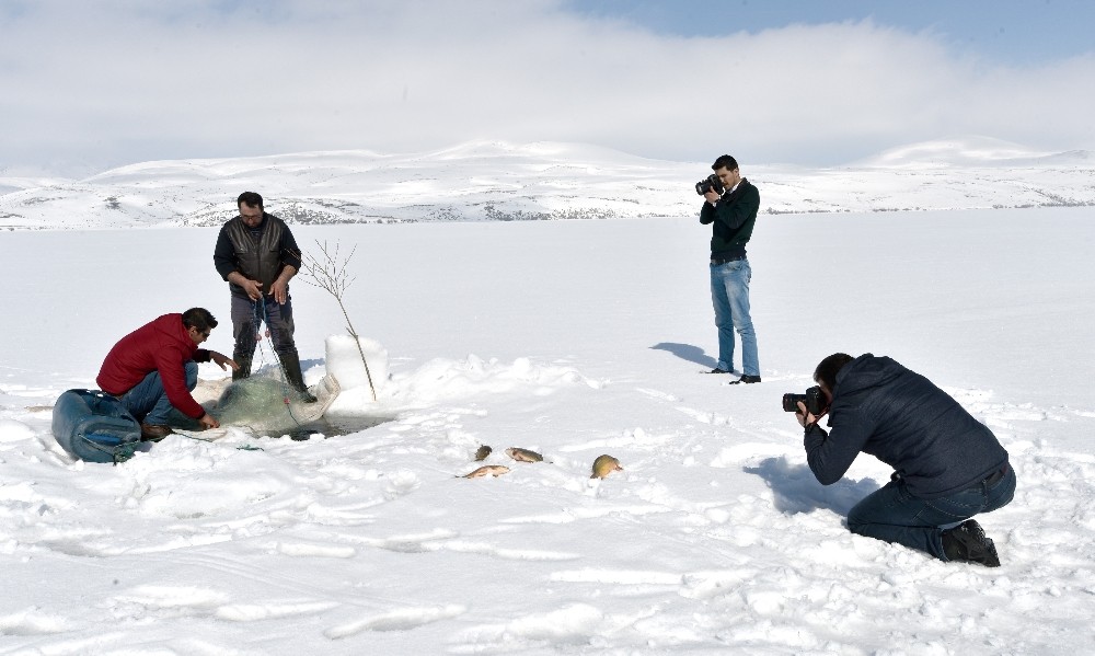 Eskimo usulü balık avına fotoğrafçı ilgisi 