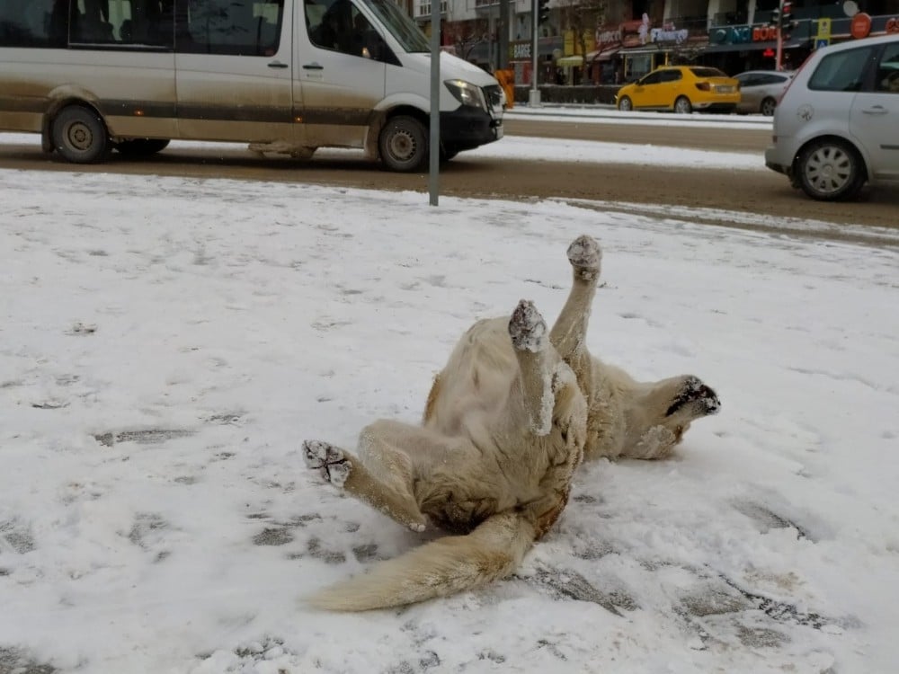 Eskişehir beyaz gelinliği giydi 