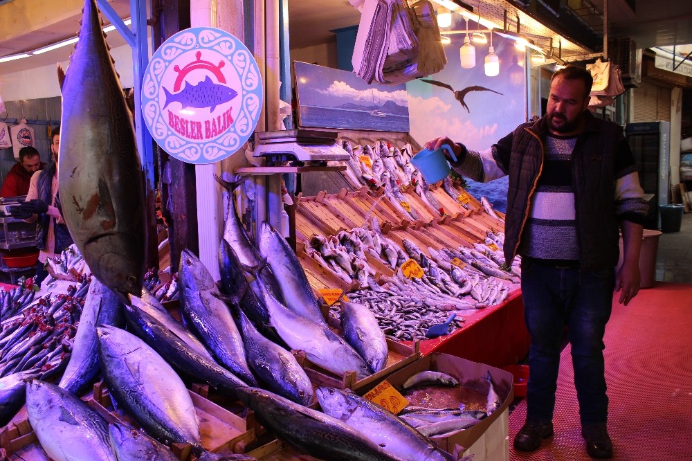 Eskişehir halkı ton balığını sevdi 
