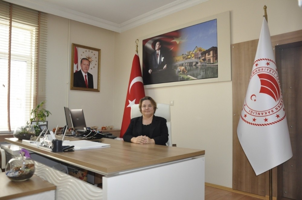 Eskişehir tarımına 31 milyon TL hibe desteği 