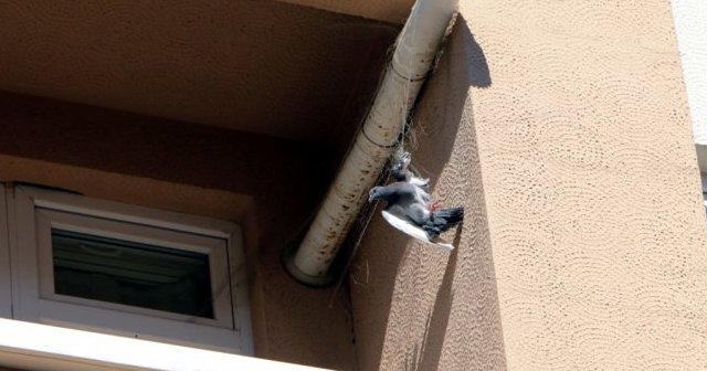 Eskişehir'de 'İnsanlık ölmemiş' dedirten olay