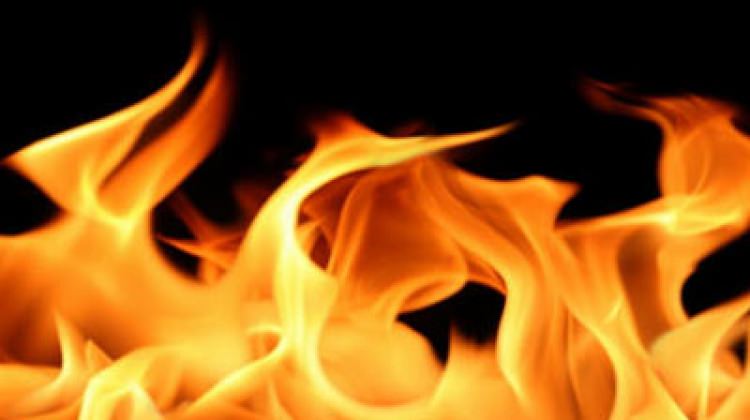 Eskişehir'de kağıt fabrikasında yangın çıktı