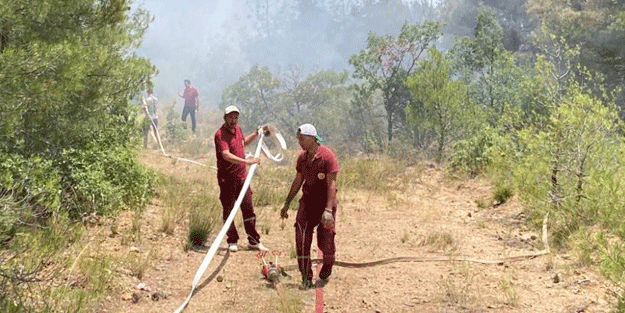 Eskişehir’de orman yangını