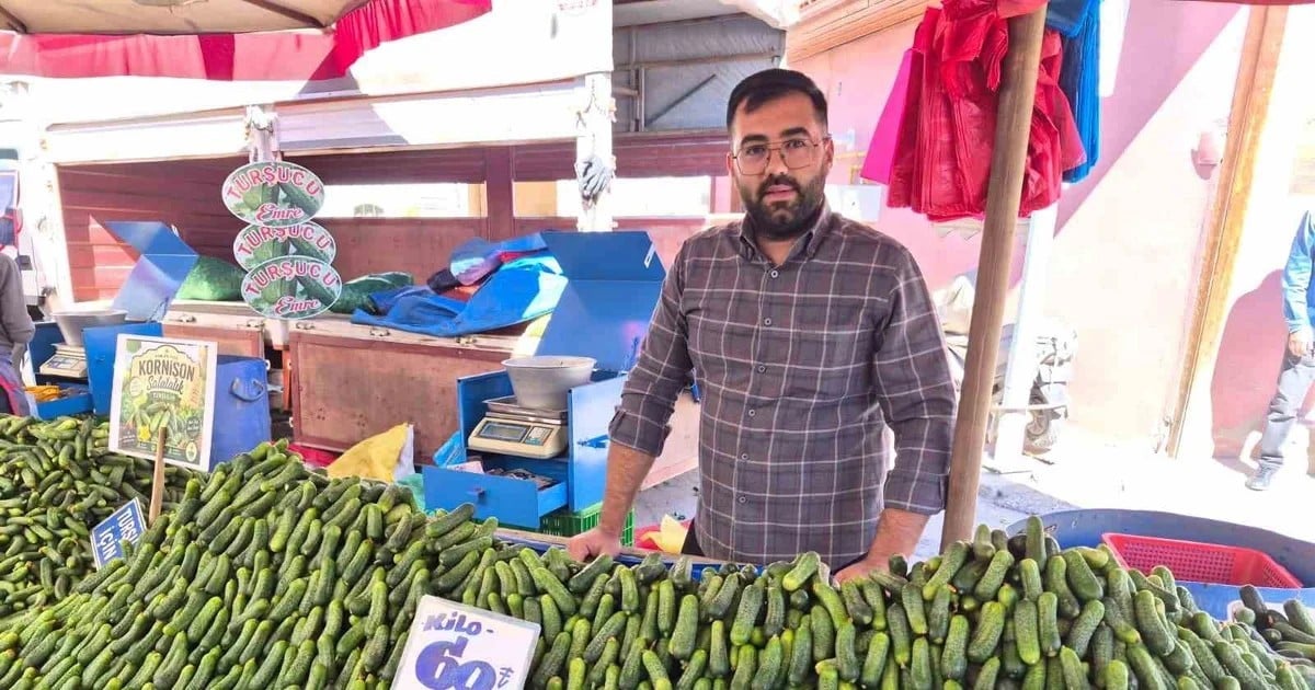 Eskişehir'de turşuluk kornişon salatalığın kilosu bir haftada 50 liradan 60 liraya çıktı