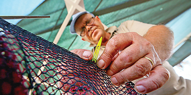 Esnaf, 4 mevsim balıkla kalkınmak istiyor