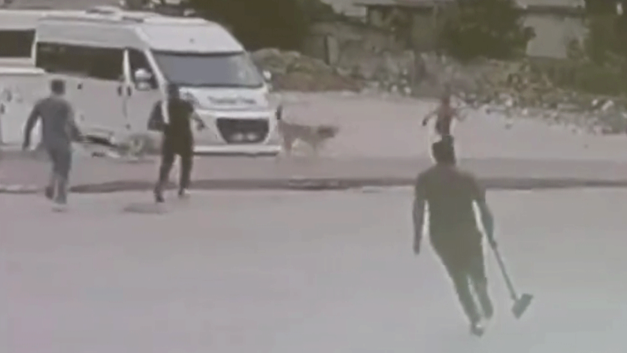 Esnaf son anda sopalarla yetişti, küçük çocuk parçalanmaktan kurtuldu