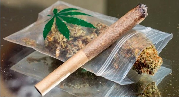 Esrar kullanımı yasallaşıyor