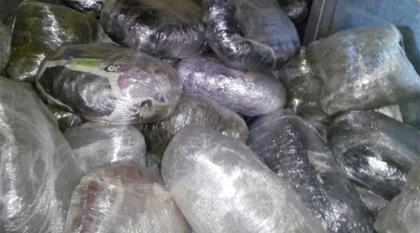 308 kilogram esrar ele geçirildi