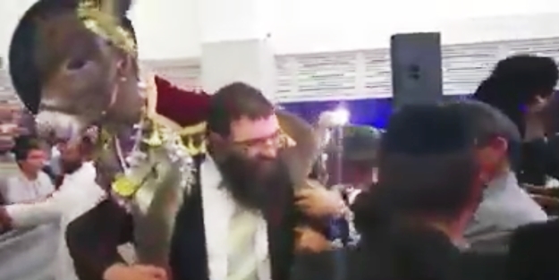 Eşeğin Yahudilerle imtihanı!
