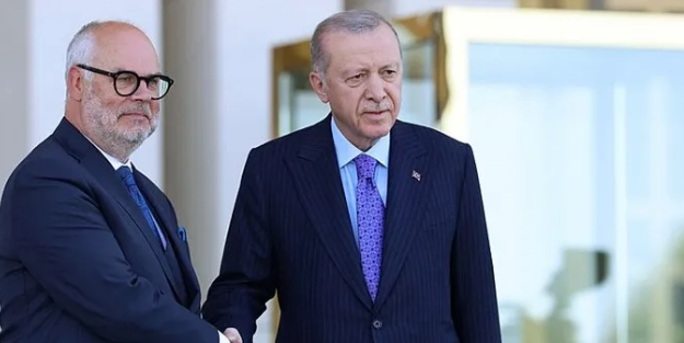 Estonya Cumhurbaşkanı ile ortak açıklama yapan Başkan Erdoğan: AB'ye tam üyelik stratejik hedefimiz