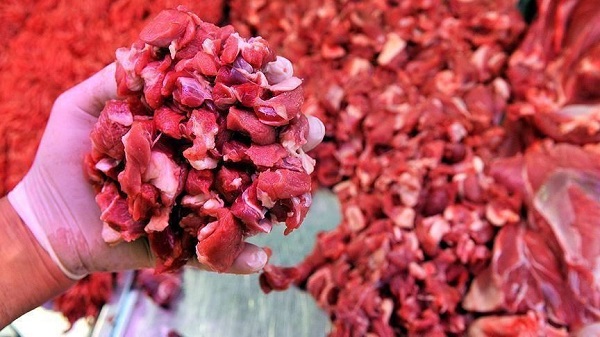 Et derin dondurucuya poşetle mi atılır? Et poşette çürür mü?