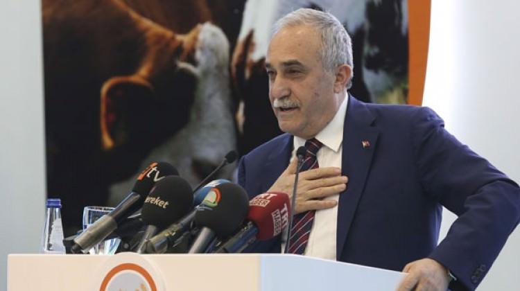 Et fiyatları yüzde 25 ucuzladı