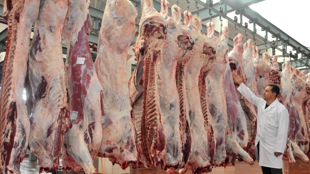 Vatandaşa müjdeli haber!