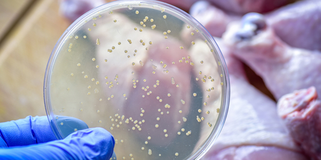 Et ve Süt Kurumu tonlarca eti imha etti! Okuyan gözlerine inanamadı!