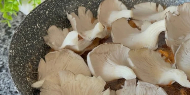 Et yemeyen artık bunu yesin! Protein oranı çok yüksek seviyede: Adeta o şampiyon, herkesin gözdesi!