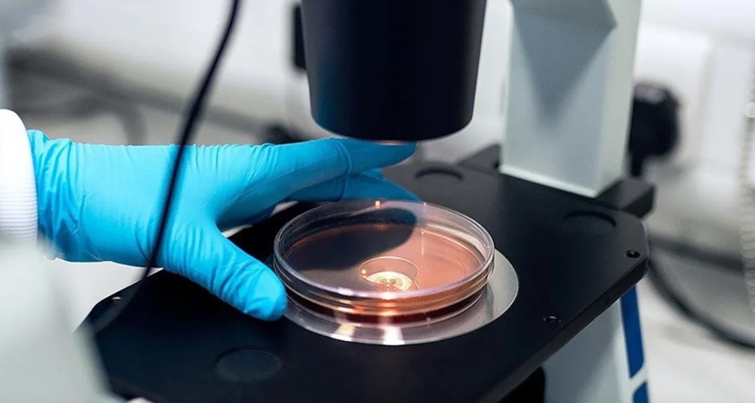 ‘Et yiyen bakteri’ alarmı! O ülkede vaka sayısı aldı başını gitti