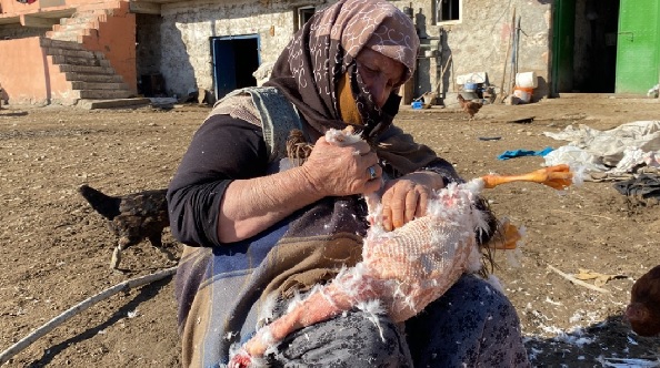 Eti ayrı tüyü ayrı satılıyor! Kapış kapış gidiyor tanesi 1200 TL