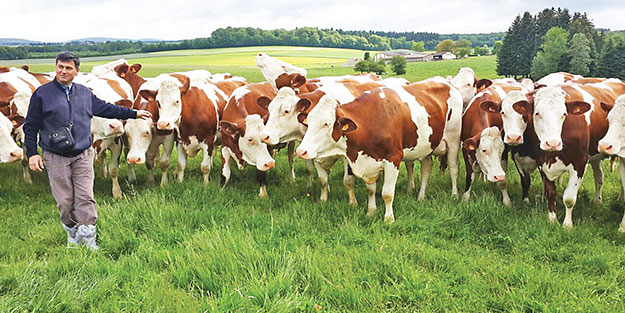 Etin fiyatı düşüyor üretici beklemede