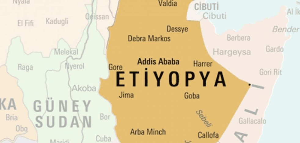 Etiyopya'da seçim sonuçları belli oldu