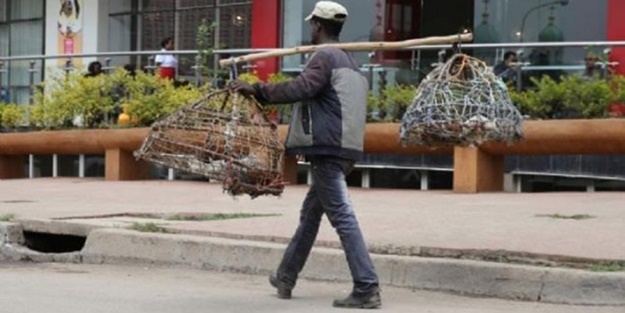 Etiyopya'dan sıra dışı kareler