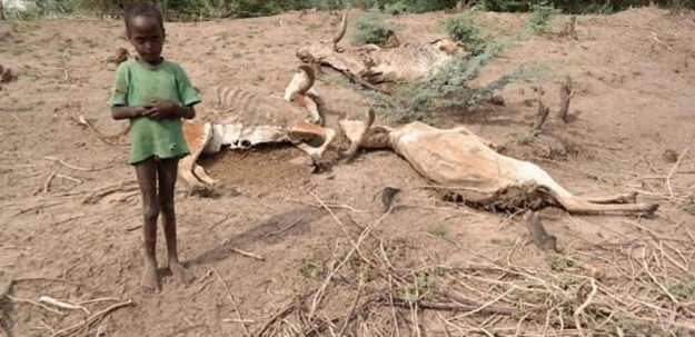 O bölgedeki Müslümanlar açlıktan ölmeye başladı