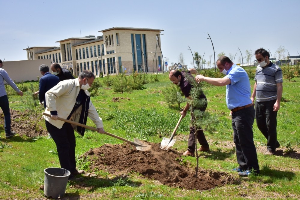 ETÜ’de yeni fidanlar can buldu 